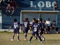 LVBF15FA2013 004