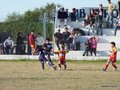 LVBF15FA2013 042