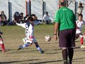 LVBF15FA2013 066