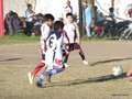 LVBF15FA2013 064