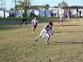 LVBF15FA2013 081