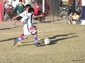 LVBF15FA2013 068