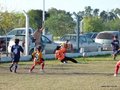 LVBF15FA2013 052