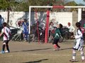 LVBF15FA2013 065