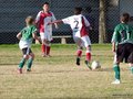 LVBF16FA2013 075