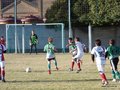 LVBF16FA2013 065