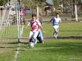 LVBF16FA2013 050