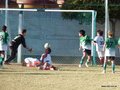 LVBF16FA2013 051