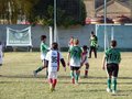 LVBF16FA2013 088
