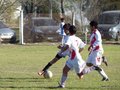 LVBF16FA2013 023