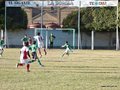 LVBF16FA2013 058