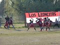 LVBF17FA2013 038