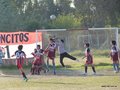 LVBF17FA2013 023