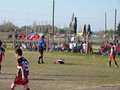 LVBF17FA2013 048