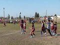 LVBF17FA2013 055