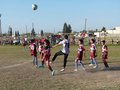 LVBF17FA2013 057
