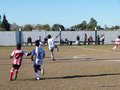 LVBF18FA2013 011