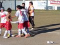 LVBF18FA2013 028