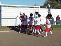 LVBF18FA2013 057