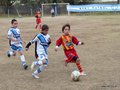 LVBF19FA2013 016