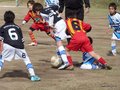 LVBF19FA2013 006