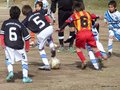 LVBF19FA2013 005