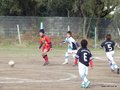 LVBF19FA2013 010