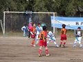 LVBF19FA2013 008