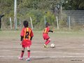 LVBF19FA2013 011
