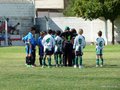 LVBF1FA2013 026