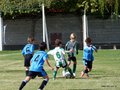 LVBF1FA2013 034