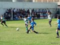 LVBF1FA2013 032