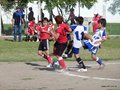 LVBF1FA2013 072