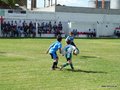 LVBF1FA2013 042
