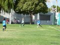 LVBF1FA2013 045