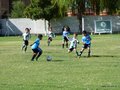 LVBF1FA2013 037