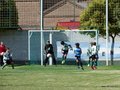 LVBF1FA2013 035
