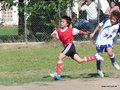 LVBF1FA2013 065
