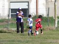 LVBF1FA2013 058