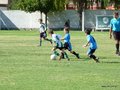 LVBF1FA2013 031