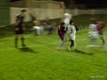 LVBF2FA2013 011