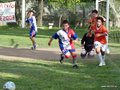 LVBF3FA2013 037