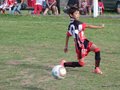LVBF3FA2013 028