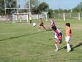 LVBF3FA2013 038