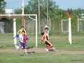 LVBF3FA2013 057