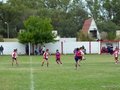 LVBF4FA2013 014