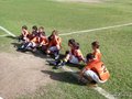 LVBF6FA2013 044