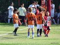 LVBF6FA2013 039