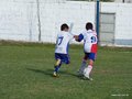 LVBF6FA2013 082