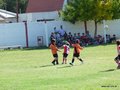 LVBF6FA2013 014